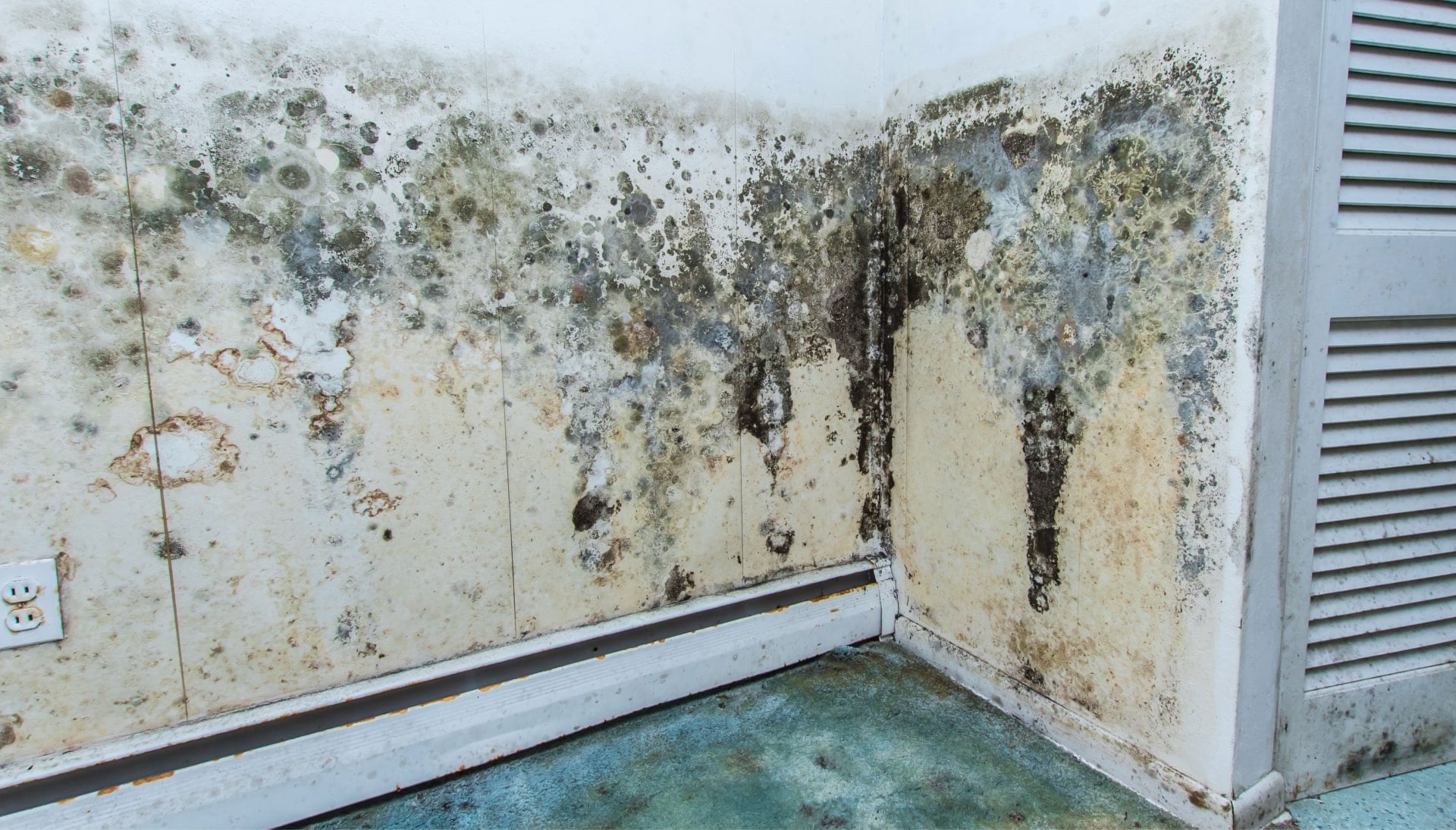 Mold-Damager-Odor-Control in Gainesville