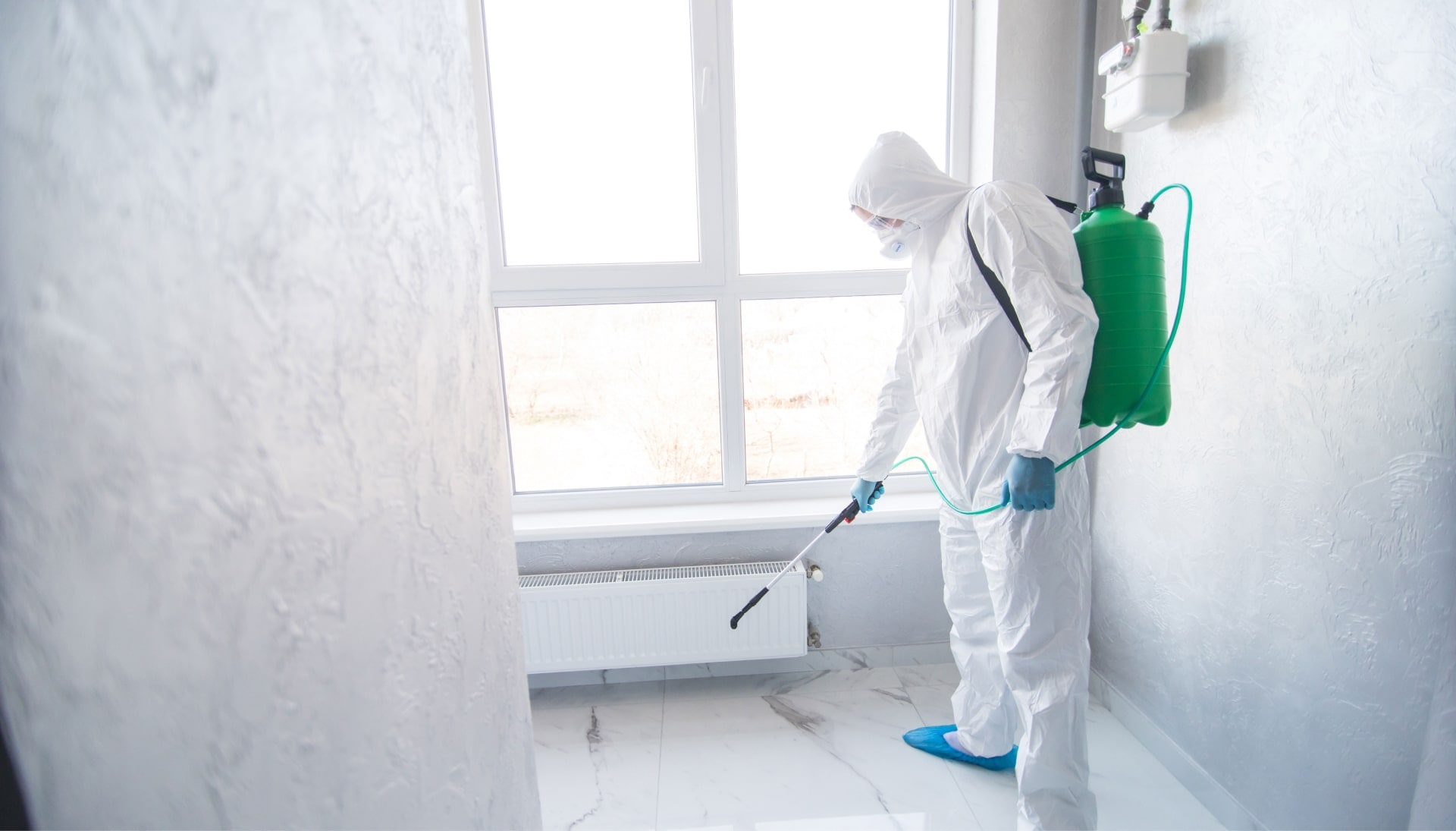 Mold-Inspection in Gainesville